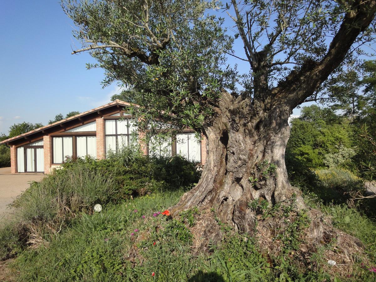 Chalet Domaine De Combe Ramond Hotell Veilhes Exteriör bild